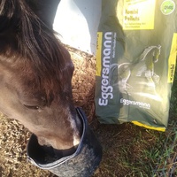photo de livraison pour Equi-Libre : Droit à la Retraite Equine