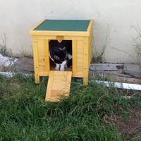 photo de livraison pour Capucine et Compagnie