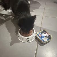 photo de livraison pour Au Rendez-vous des Animaux