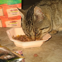 photo de livraison pour Jardin des Chats