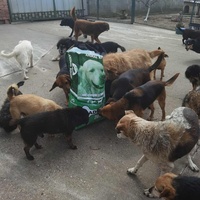 photo de livraison pour ПРИХВАТИЛИШТЕ ДРАЖЕВАЦ