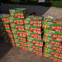 photo de livraison pour Ecole du Chat de Poitiers