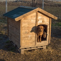 photo de livraison pour Azil Bella