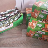 photo de livraison pour Le Gang des Matous