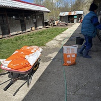 photo de livraison pour Nicoleta Stefanescu