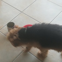 photo de livraison pour AVRAH