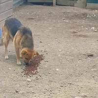 photo de livraison pour Samira Gagula