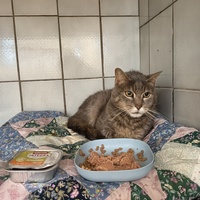 photo de livraison pour L'école du Chat d'Ollioules