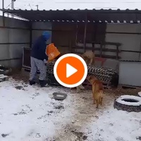 photo de livraison pour Associtia Axi Hope Romania