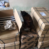 photo de livraison pour Vallée des Chats