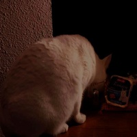 photo de livraison pour AVRAH
