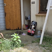photo de livraison pour Bien vivre avec les Chats Sallélois