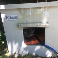 photo de livraison pour Félin Pour L’Hôte