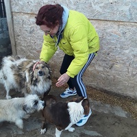 photo de livraison pour Mariuta
