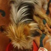 photo de livraison pour AVRAH