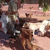 photo de livraison pour UMPA