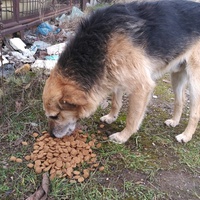 photo de livraison pour Asociația Hăpluț și prietenii