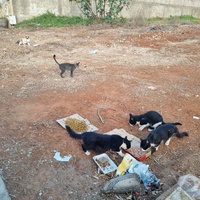 photo de livraison pour Kawthar Maree