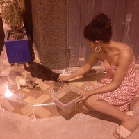 photo de livraison pour Help Adopt Moroccan Animals