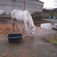photo de livraison pour Au Bonheur Animal