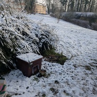 photo de livraison pour Sweety Pets