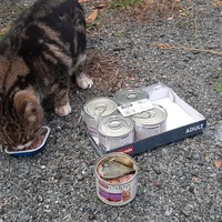 photo de livraison pour Bien vivre avec les Chats Sallélois