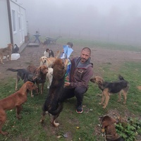 photo de livraison pour Silver Dog Srebrenica