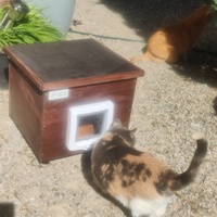 photo de livraison pour Les Fées AnimO