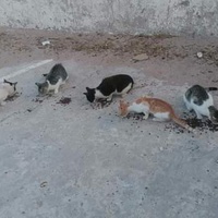 photo de livraison pour ADAN Essaouira