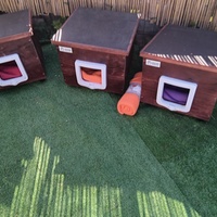 photo de livraison pour Les Chats Libres de Nimes Agglo