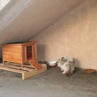 photo de livraison pour Protection Animale Berroise