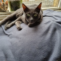 photo de livraison pour Rohini et Compagnie