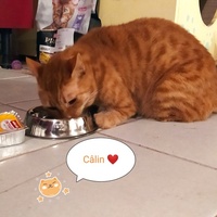 photo de livraison pour Une Maison pour la Vie