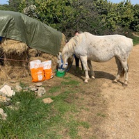 photo de livraison pour Association hippique du Caroux
