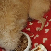 photo de livraison pour AVRAH