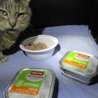 photo de livraison pour Jardin des Chats