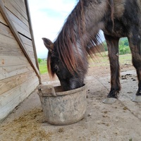 photo de livraison pour Refuge Cheval Nature En Aquitaine