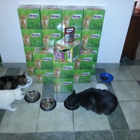 photo de livraison pour Aide Aux Chats