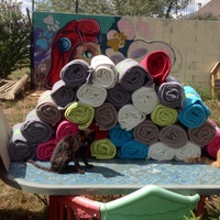 photo de livraison pour SOS Animal Tendresse
