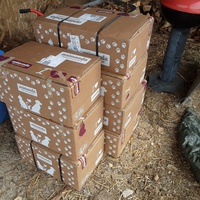 photo de livraison pour Les Chatoyants