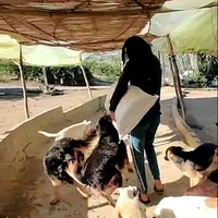 photo de livraison pour Sanctuaire de la Faune de Tanger (SFT)
