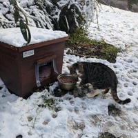 photo de livraison pour Sweety Pets