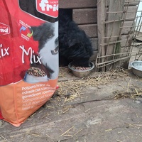 photo de livraison pour Samira Gagula