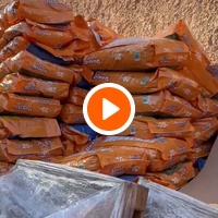 photo de livraison pour Le Coeur sur la Patte