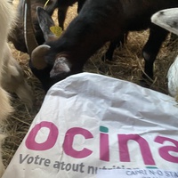 photo de livraison pour Espoir au Galop