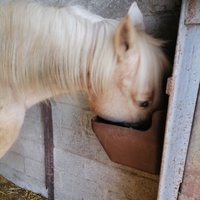 photo de livraison pour Au Bonheur Animal