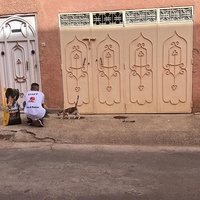 photo de livraison pour L'Arche de Noé