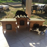photo de livraison pour Protection Animale Amélienne