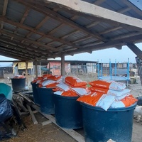 photo de livraison pour Animal Shields Oradea
