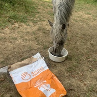 photo de livraison pour Espoir au Galop
